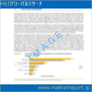 市場と産業調査レポートのイメージ